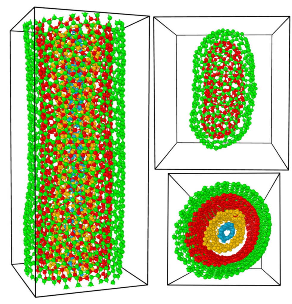 Formation of multi-walled carbon nanotubes and capsules from random initial conformations